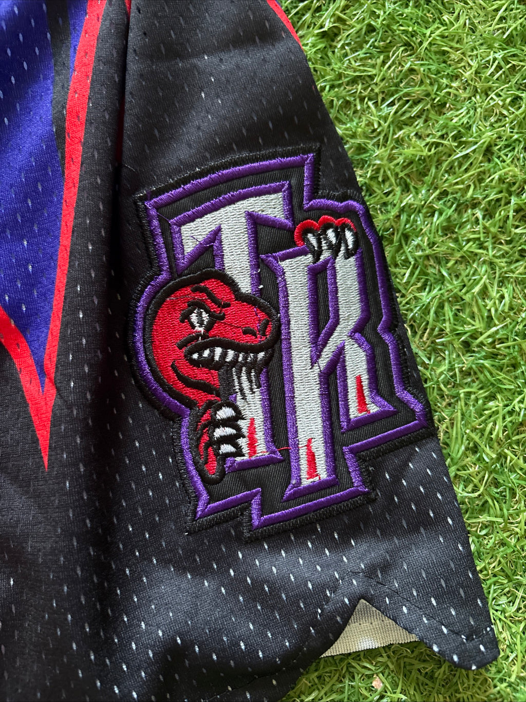 Toronto Raptors Purple Throwback Shorts
