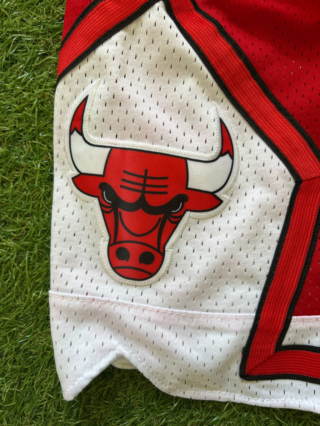 Chicago Bulls Red Script Shorts