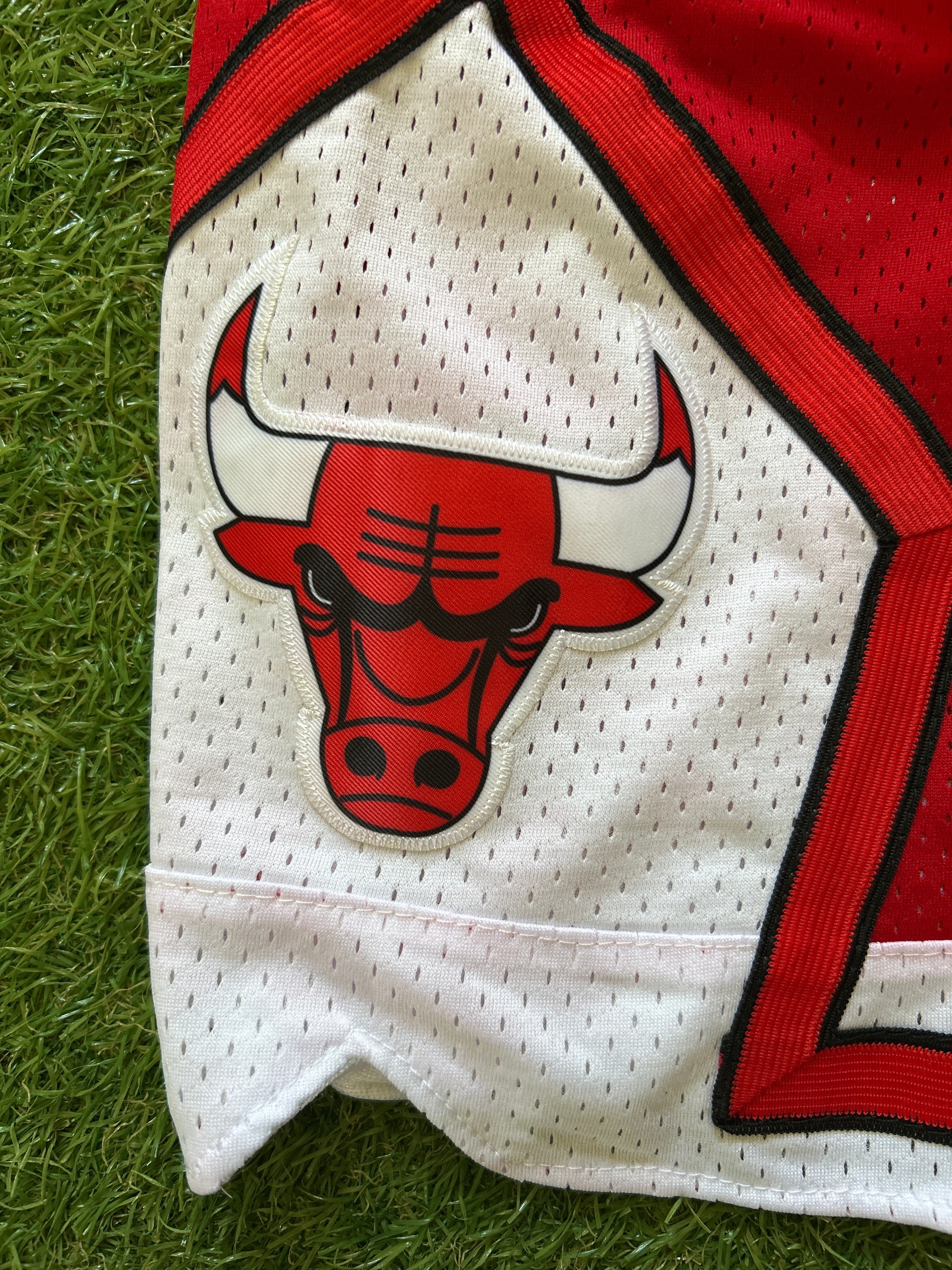 Chicago Bulls Red Script Shorts