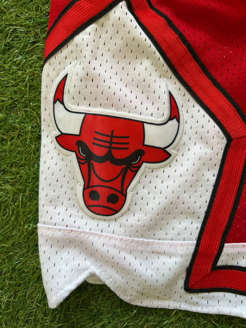 Chicago Bulls Red Script Shorts