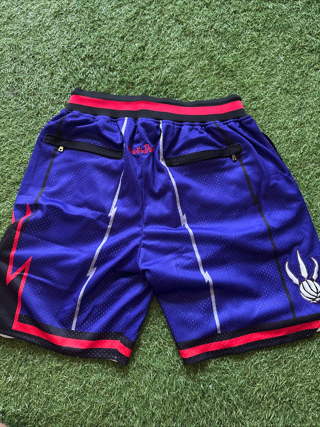 Toronto Raptors Purple Throwback Shorts