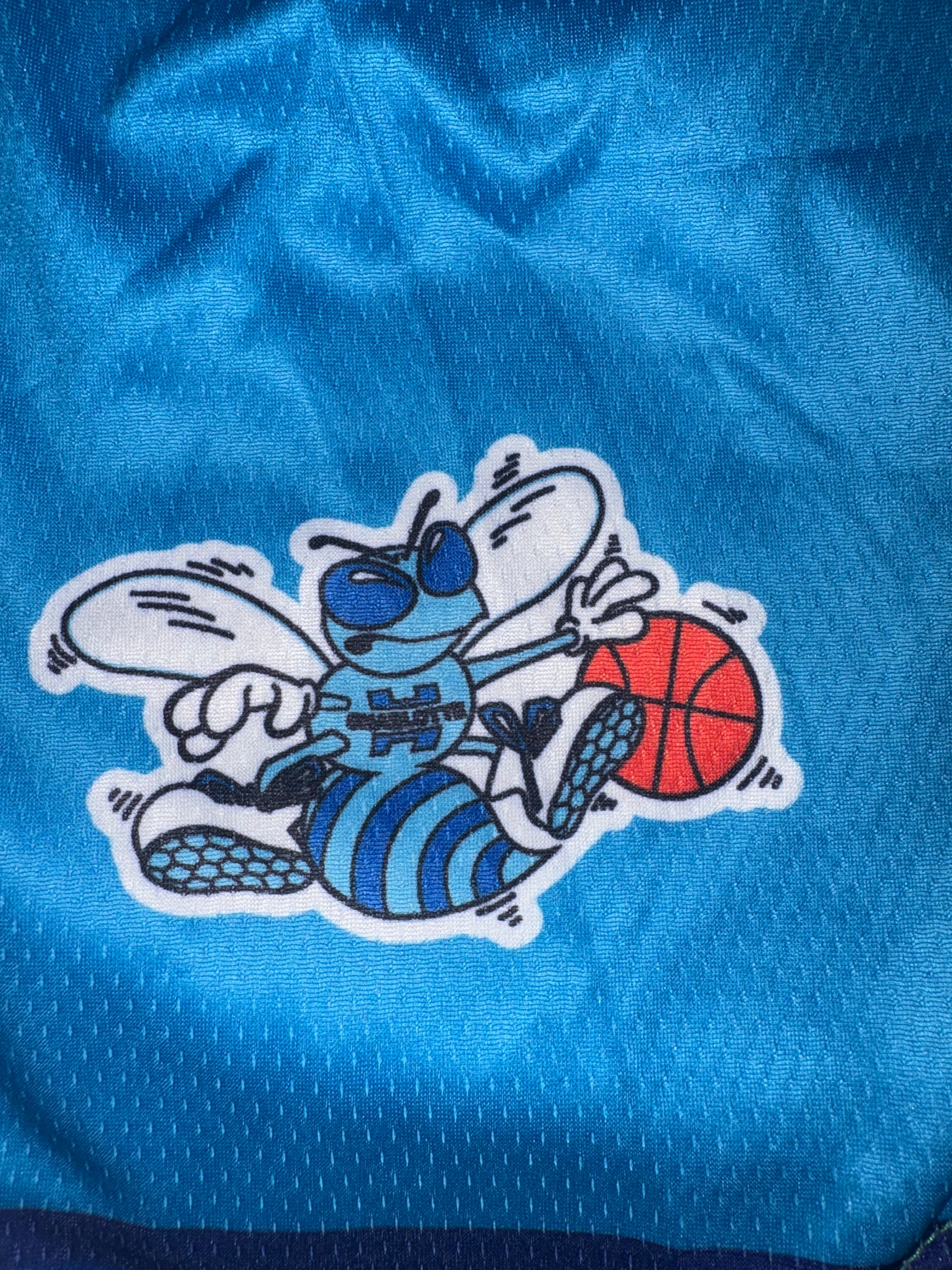 Charlotte Hornets Vintage Teal Retro Basketball Shorts