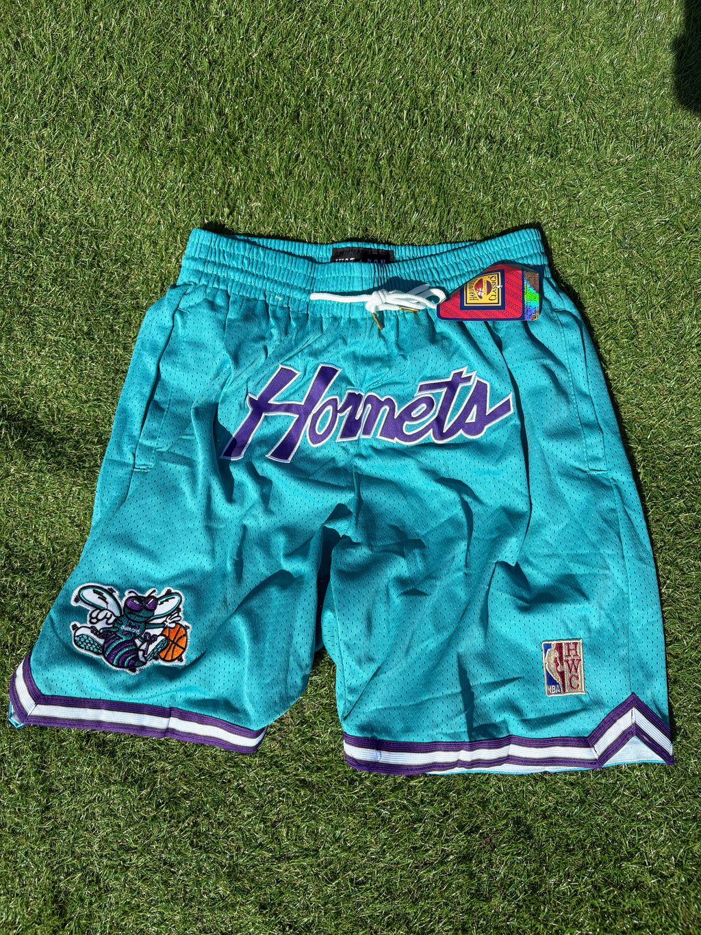 Charlotte Hornets Teal Hardwood Classics Basketball Shorts