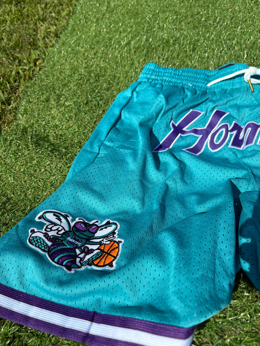 Charlotte Hornets Teal Hardwood Classics Basketball Shorts